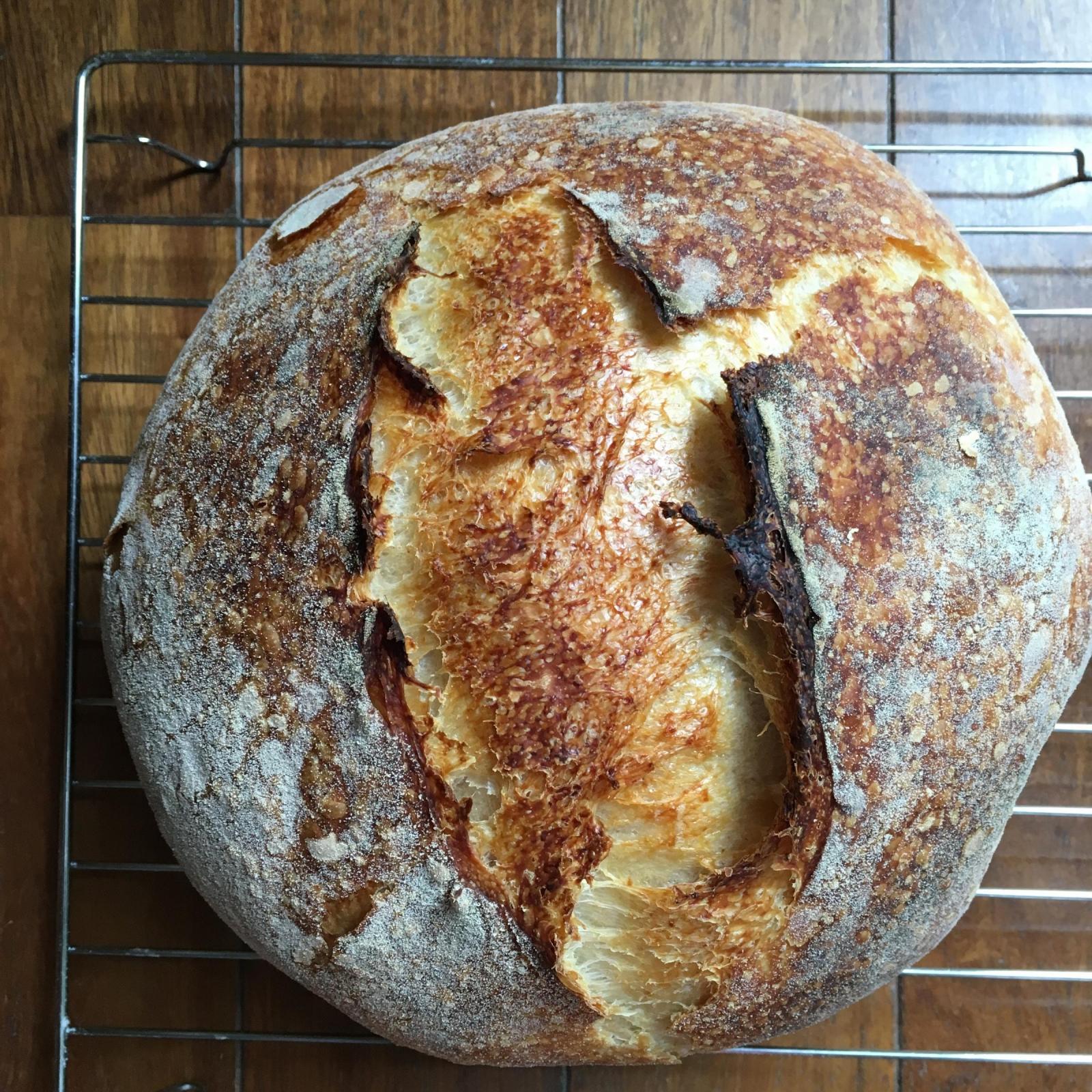 Comparing hydration 70 and 65 The Fresh Loaf